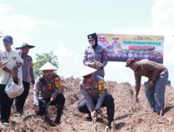 Polres Sidrap Tanam Ubi Kayu Dilahan Seluas 200 Hektar, Wujudkan Asta Citra Presiden RI