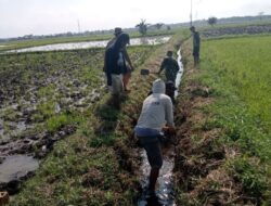 Babinsa Koramil 02/Tellu Limpoe bersama Poktan bersihkan Saluran irigasi pertanian.  Babinsa