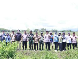 Kakantah Sidrap, Kapolres dan Dandim Kompak Turun Penelitian Lapangan Redistribusi Tanah di Pitu Riase
