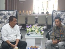 Kolaborasi PLN dan Pemkab Sidrap, dari Program Diskon hingga “Listrik Masuk Sawah”