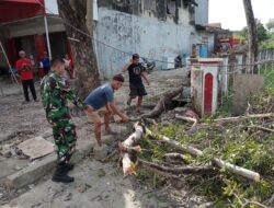 Babinsa Koramil 1420-05/Dua Pitue Bersama Warga Bersihkan pohon yang menghalangi jalan.