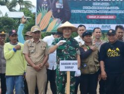 Dandim 1420 Sidrap Hadiri Penanaman Jagung Serentak 1 Juta Hektar Mendukung Program FOOD ESTATE 2025