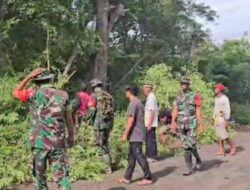 Koramil 1420-01/Panca Lautang Gelar Karya Bhakti, Bersih bersih di desa Wanio