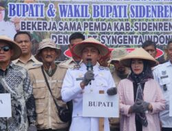 Tiba di Sidrap, Bupati dan Wakil Bupati Langsung Pimpin Panen Raya Jagung