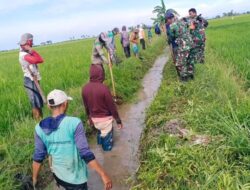 Wujud kepedulian TNI kepada petani, Babinsa Korami 1420-01/Panca Lautang Bersama Warga Bersihkan Saluran Irigasi