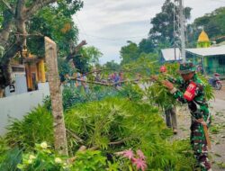 Babinsa Koramil 1420-06/Panca Rijang Kodim 1420/Sidrap mengajak warga Kerja Bakti Membersihkan sisa Ranting pohon