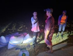 Dini Hari, Bupati Sidrap Pantau Langsung Panen Petani