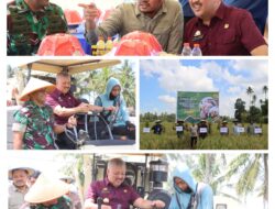 Kabupaten Pinrang Termasuk Salah Satu Daerah Penyokong Pangan Nasional Berasama 157 Kabupaten Lainnya Dari 14 Provensi Di Indonesia