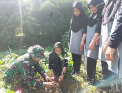 Hijaukan Lingkungan, Koramil 1420-03/Maritengngae gelar Tanam Pohon dilahan kosong
