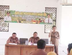 Koordinasi Penyuluh, Dinas TPHPKP Sidrap Mantapkan Langkah Dukung Swasembada Pangan