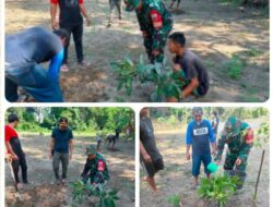Penghijauan Di Wilayah Binaan, Jajaran Babinsa Koramil 1420-07/Baranti Bersama Warga Tanam 30 Pohon Produktif