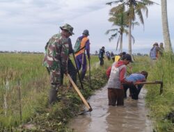 Babinsa Koramil 1420-03/Maritegngae bersama Poktan Bersihkan Saluran irigasi Tersier