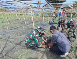 Danramil 1420-03/Maritengngae Pimpin Penanaman Pohon