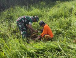 Koramil 1420-05/Dua Pitue lakukan penanaman pohon untuk keseimbangan Ekosistem