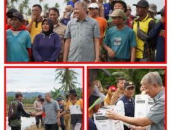 Bupati Pinrang Didampingi Kadis Tanaman Pangan Dan HultikulturaSerta Camat Patampanua menemui Masyarakat  Petani Di Desa Sipatuo