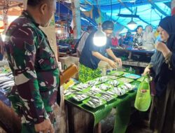 Terjun Langsung Ke Pasar Tradisional, Babinsa Cek Harga Sembako