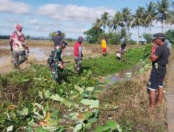 Gotong Royong Babinsa Ramil 1420-06/Panca Rijang Bersama Warga Bersihkan Saluran Irigasi