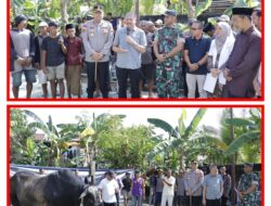 Forkopinda Pinrang Pantau Penyembelihan Hewan Qurban Bantuan Persiden RI Dilaksanakan Dikecamatan Mattiro Sompe