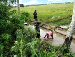 Babinsa Desa Dongi dan Petani Sipatuo Kompak Bersihkan Irigasi, Dukung Pertanian Maju!