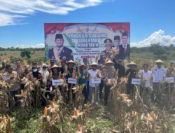 Dandim 1420/Sidrap Hadiri Panen Raya Jagung Serentak Kuartal II Bersama Forkopinda Kab. Sidrap