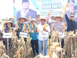 Sinergi Kapolres, Bupati, dan Forkopimda Sidrap Sukseskan Panen Raya Virtual Bersama Presiden