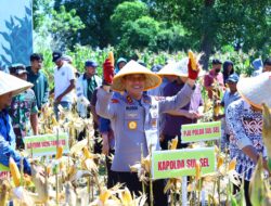 Panen Raya Jagung Serentak Kuartal II 2025 Digelar di Takalar, Kapolda Sulsel Pimpin Langsung Kegiatan