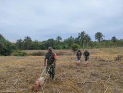 Babinsa Koramil 1420-06/Panca Rijang Bantu Petani Tanam Jagung Bersama Pok Tani Dusun Puncak sebagai Wujud Kemanunggalan TNI dengan Rakyat