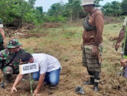 Penghijauan Di Wilayah Binaan, Danposramil Pitu Pitu Riase Pimpin Penanaman Pohon