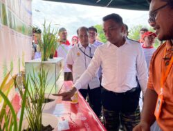 Usai Semprot OPT, Bupati Sidrap Hadiri Launching Sarprofest Sidrap Amazing 2025