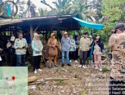 Panen Pedet di Kampung Sapi, Bukti Inovasi Peternak Bulukumba