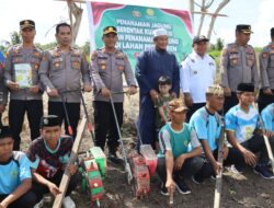 Dukung Ketahanan Pangan, Wakapolres Sidrap Hadiri Penanaman Jagung di Desa Talawe