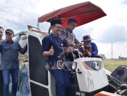 Bulog: Sidrap Catatkan Serapan Beras Tertinggi Sepanjang 57 Tahun