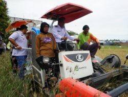 Syaharuddin Alrif Imbau Petani Gotong-Royong Antisipasi Hama Saat Panen di Rijang Pittu
