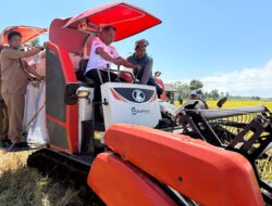 Panen Perdana di Bila Riawa, Bupati Syaharuddin: Bersyukur dan Terus Jaga Kebersamaan