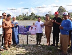 Kelar Panen di Alesalewo, Bupati Sidrap Lanjut Tabela Program IP300 di Allakkuang