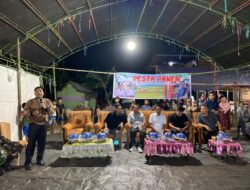 Gelar Syukuran, Warga Padangloang Alau Mappadendang Bersama Bupati Sidrap