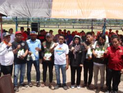 Bupati Sidrap dan Direktur Alsintan Panen Raya di Panca Lautang