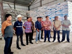 Pastikan Pupuk Murah untuk Petani Bulukumba, Wabup Edy Manaf Cek Gudang Stok