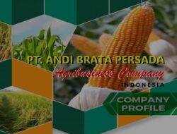 PT Andi Brata Persada: Dari Enrekang Menjadi Korporasi Nasional Multisektor