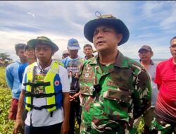 TNI, Pemda, dan Warga Bersatu Bersihkan Eceng Gondok di Danau Sidenreng