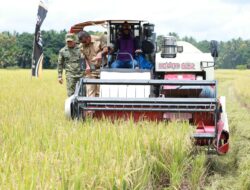 Panen Raya di Bontoharu, Bupati Andi Utta Tekankan Pentingnya Ketahanan Pangan dan Modernisasi Pertanian
