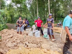 Dusun Dapurua Gotong Royong Perbaiki Jalan Pertanian, Hasil Panen Diharapkan Meningkat