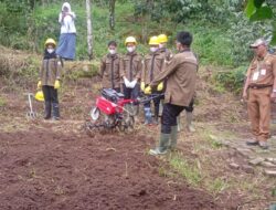 UKK DAN UJIAN SEKOLAH SMK NEGERI 2 BULUKUMBA: BUKTI NYATA KOMPETENSI SISWA JURUSAN TKJ, TBSM, ATPH, DAN APHP SIAP MASUK DUNIA KERJA