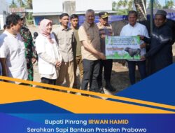 Bupati Pinrang Serahkan Batuan Sapi Kurban Persiden RI Di Kecamatan Tiroang