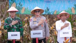 Polres Sidrap Panen Jagung Kuartal II Di Lahan Seluas 5 Hektar