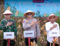Polres Sidrap Panen Jagung Kuartal II Di Lahan Seluas 5 Hektar