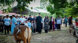 Momentum Hari Raya Idul Adha 1447 H Polres Pinrang Sembelih 22 Ekor Sapi Kurban