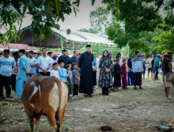 Momentum Hari Raya Idul Adha 1447 H Polres Pinrang Sembelih 22 Ekor Sapi Kurban