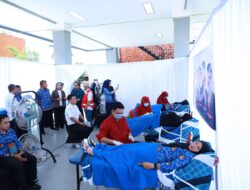 Peringati Hari Donor Darah Sedunia, PMI Bulukumba Himpun 115 Kantong Darah