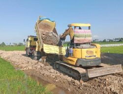 Satgas TMMD Ke – 129 Kodim 1404/Pinrang  Percepat Pembangunan Jalan Tani, Kerahkan Mobil  Truk Pengangku Taterial Siang Malam Ke Lokasi